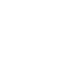 NO23 Basketball Academy